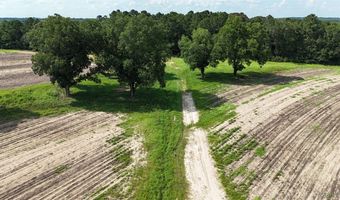 216 County Road 201 Rd, Ariton, AL 36010