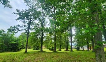 Overlook Ridge, Big Sandy, TN 38221