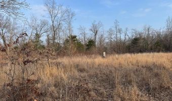 Arnhart Street, Ash Flat, AR 72513