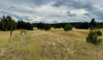 Par 18 Old Homestead Ln, Beulah, CO 81023