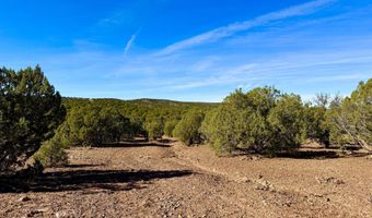 Kirkland DR 20 Acres, Concho, AZ 85924