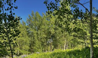 2601 Midnight Mine Road Rd, Aspen, CO 81611