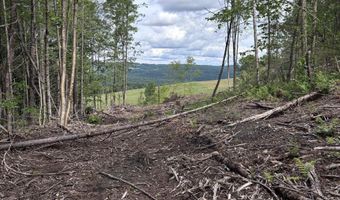Davis Acres Road, Brookfield, VT 05060
