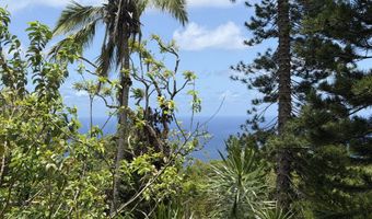 105 Hana Hwy, Hana, HI 96713