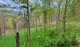 2789 Dry Fork Rd, Bandy, VA 24602