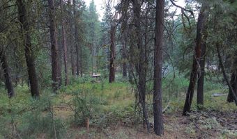 1291 Crown Point Pkwy, Cascade, ID 83611