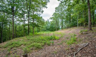100 Block SPANISH MINE, Jessieville, AR 71909
