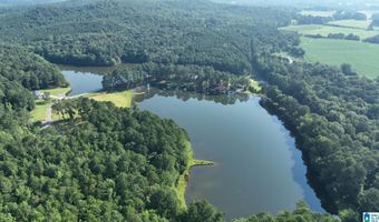 411 DR JENKINS Ln, Altoona, AL 35952