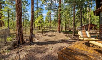 6 County Road 2070, Alpine, AZ 85920