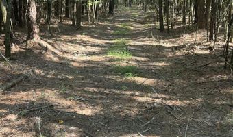 2364 Nc 102 E, Ayden, NC 28513