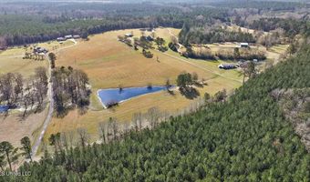 766 Pinola Braxton Rd, Braxton, MS 39044