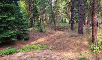 Yak Lane, Bonanza, OR 97623