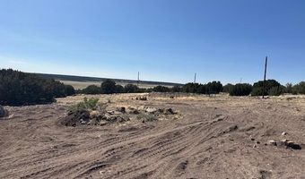 68 County Rd N8171, Concho, AZ 85924