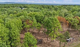 Norris Lane, Atkins, AR 72823