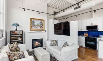 361 Robinson St 208, Basalt, CO 81621