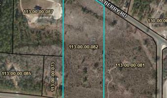 Tbd Mulberry Road, Barnwell, SC 29812