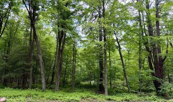 Great Hollow Road, Cornwall, CT 06753