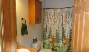 7830 Red Pine Trl, Alanson, MI 49706
