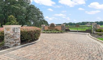 NE 54TH Terrace, Anthony, FL 32617