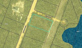 Lewis Court, Alford, FL 32420