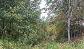 Bandy Rd / Whitaker Ridge Area, Bandy, VA 24602