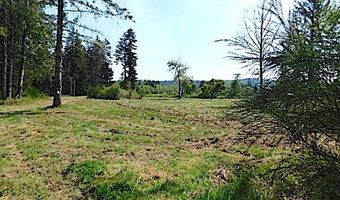 Knappa Dock RD, Astoria, OR 97103