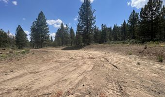 Bufflehead Drive, Bonanza, OR 97623