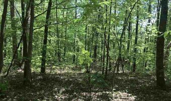 SHOAL CREST DRIVE lot 3 And 4, Ashville, AL 35953