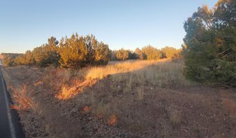 1 COUNTY ROAD N8155, Concho, AZ 85924