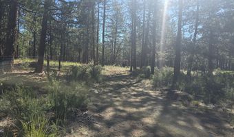 Smith Drive lot 5, Beatty, OR 97621