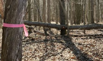 5725 Whitneyville Ave SE, Alto, MI 49302