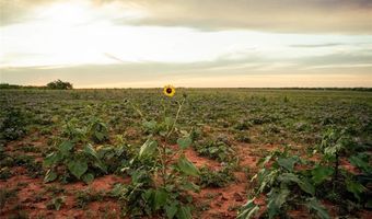 Tbd White Mines Rd, Abilene, TX 79603