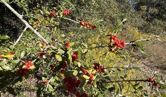 LOT 30 Yvette Dr, Alford, FL 32420