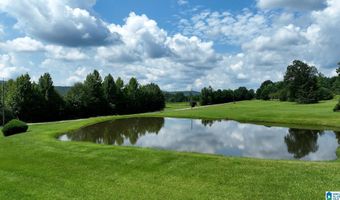 3941 SHOAL CREEK Rd, Ashville, AL 35953