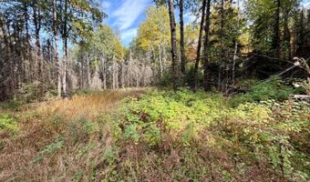 9403 CTH A, Alvin, WI 54542