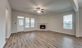 3137 Greymoore Dr, Anna, TX 75409