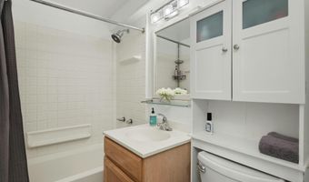 119 E Cooper Ave #5, Aspen, CO 81611