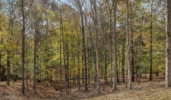 359 Allen Sells Ln, Alpine, TN 38543