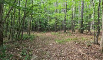 1408 Coleman Mountain Rd, Appomattox, VA 24522