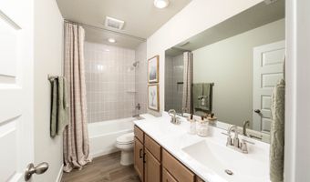 14515 Prairie Clover Plan: Wisteria, San Antonio, TX 78253
