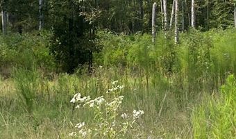 5506 Hwy 72, Calhoun Falls, SC 29628