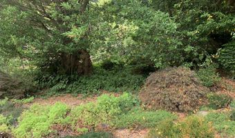 98465 N BANK CHETCO RIVER Rd, Brookings, OR 97415