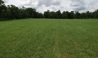 Tract 2 0000 Private Road 1184, Aurora, MO 65605