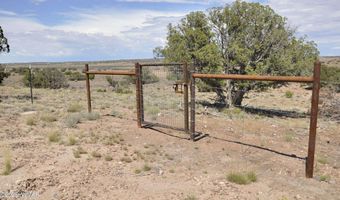 19 C & D County Rd N9033, Concho, AZ 85924