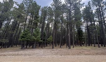 Calle de las Palomas lot 880, Angel Fire, NM 87710