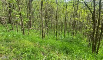 Eli Ln lot 27, Baxter, TN 38544