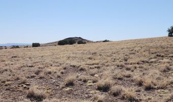 79 E Falcon Flight Way, Ash Fork, AZ 86320