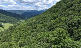 TBD Paint Fork Rd, Barnardsville, NC 28709
