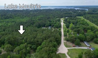 115 Smith Island Trl B, Bonneau, SC 29431