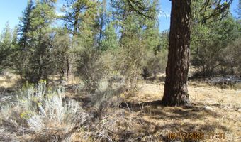 Lot 12W2 Brown Bear Lane, Bonanza, OR 97623